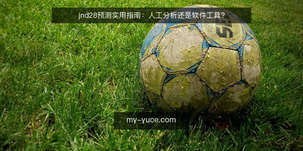 jnd28预测实用指南:人工分析还是软件工具? — 明确你的预测需求 配图