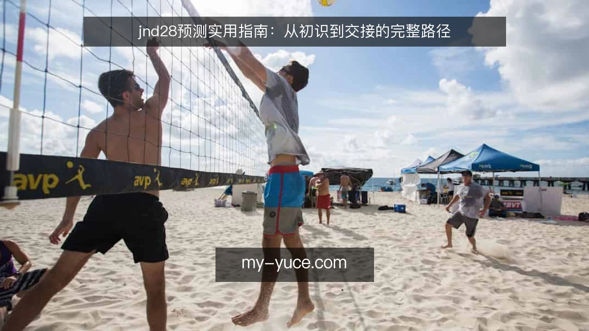 jnd28预测实用指南：从初识到交接的完整路径